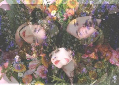 stargazer-lilies-img